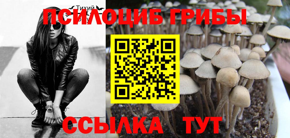 Галлюциногенные грибы MAGIC MUSHROOMS  Вход с VPN  Махачкала  Галлюциногенные грибы Magic Shrooms 