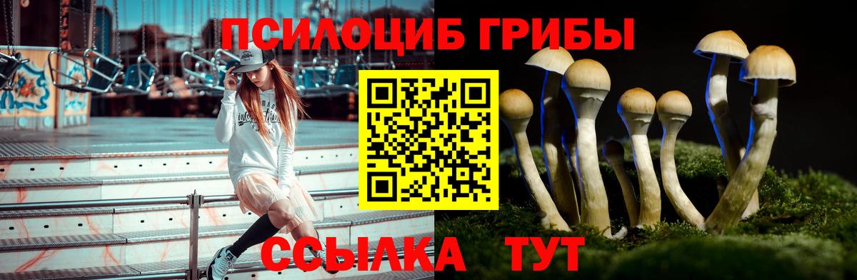 Галлюциногенные грибы Magic Shrooms Махачкала